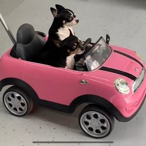 Meet your Posher, Jason-wendy